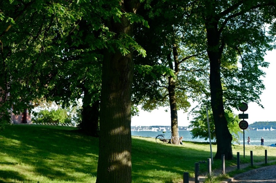 Foto: Hendrik Neubauer