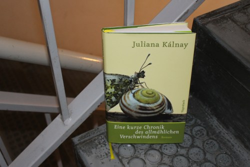 kalnay-eine-kurze-chronik-des-allmahlichen-verschwindens