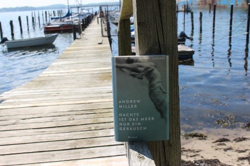 Nachts ist das Meer nur ein Geräusch Andrew Miller Zsolnay