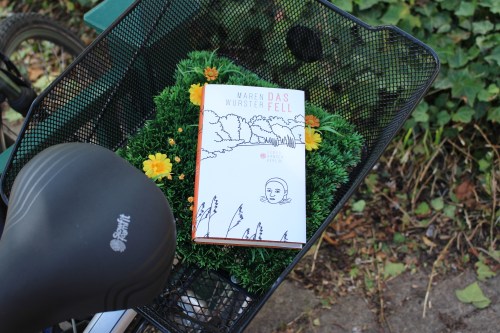 Maren Wurster Das Fell Hanser Berlin