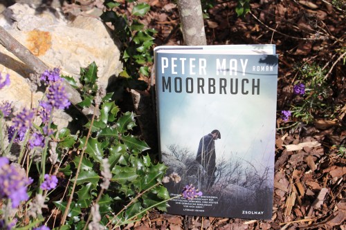 Peter May Moorbruch Zsolnay