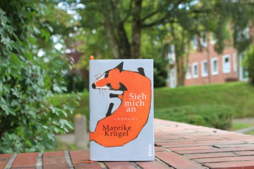 Sieh mich an Mereike Krügel Piper