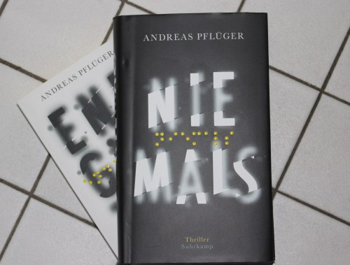 Andreas Pflüger Niemals Suhrkamp