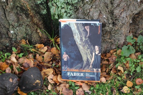Tristan Garcia Faber der Zerstörer Wagenbach Verlag