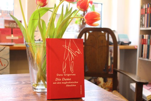 Dana Grigorcea Die Dame mit dem maghrebinischen Hündchen Dörlemann