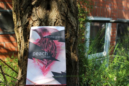 Emma Glass Peach Nautilus