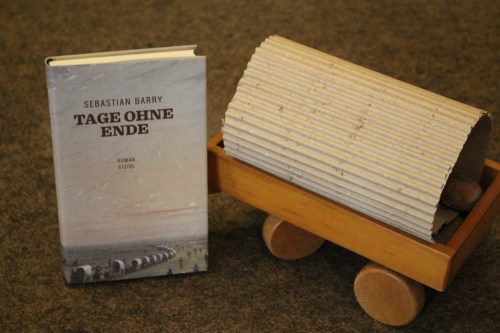 Sebastian Barry Tage ohne Ende Steidl