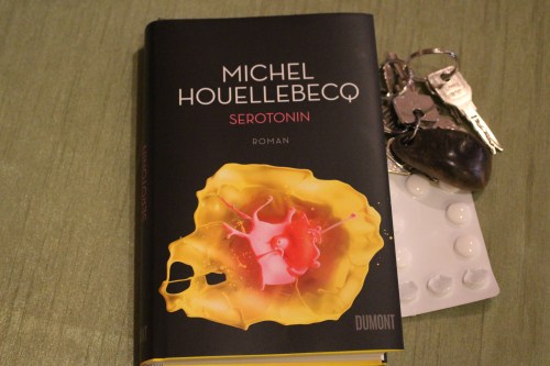 michel houllebecq serotonin dumont