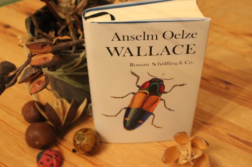Anselm Oelze Wallace Schöffling