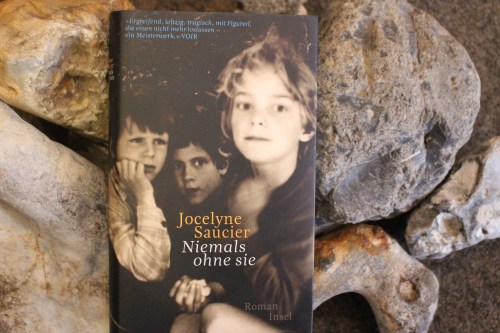 Jocelyne Saucier Niemals ohne Sie Insel