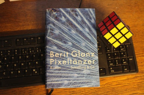 Berit Glanz Pixeltänzer Schöffling &amp; Co