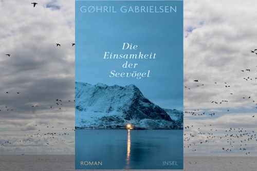 Die Einsamkeit der Seevögel Insel Verlag