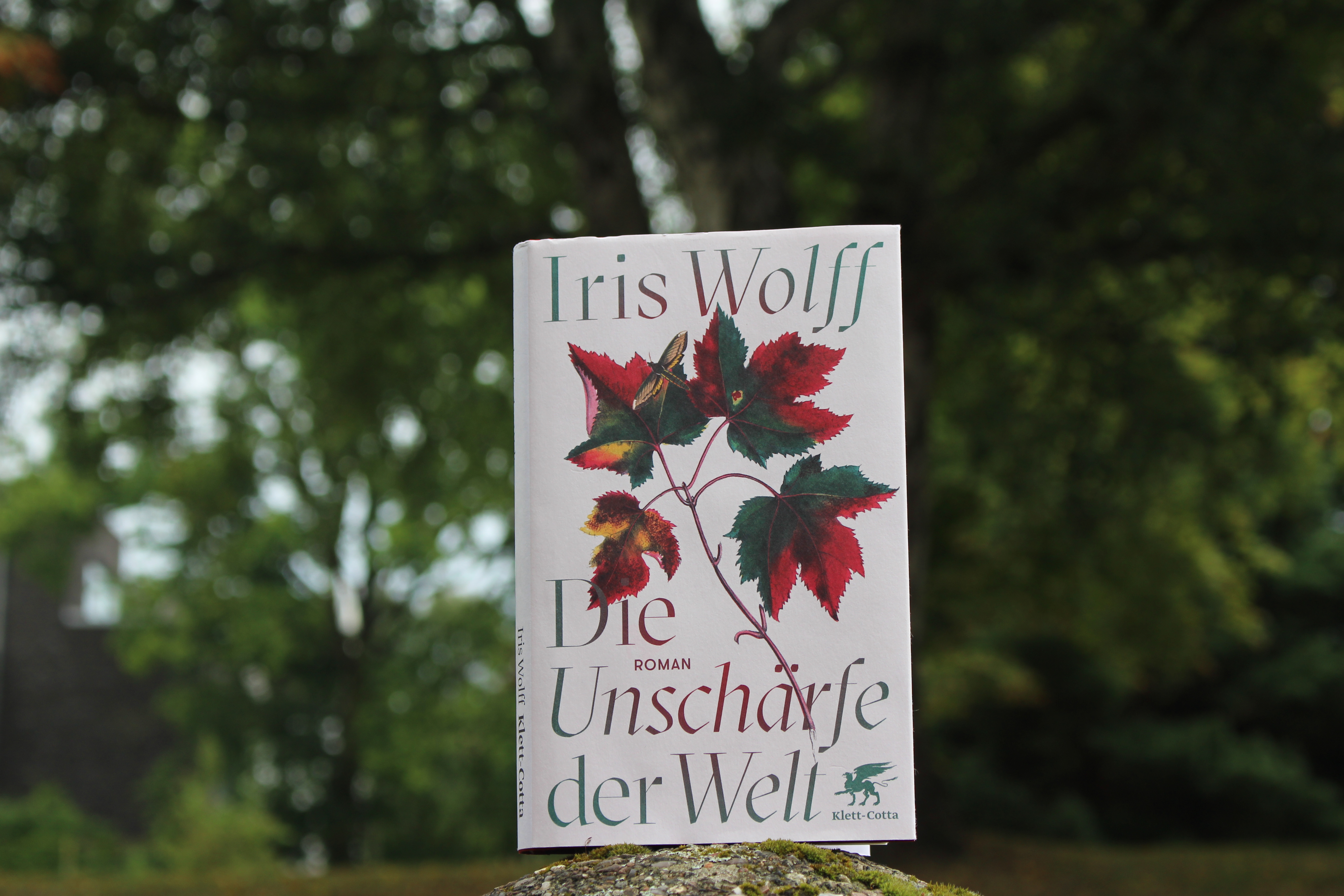 Iris Wolff Die Unschärfe der Welt