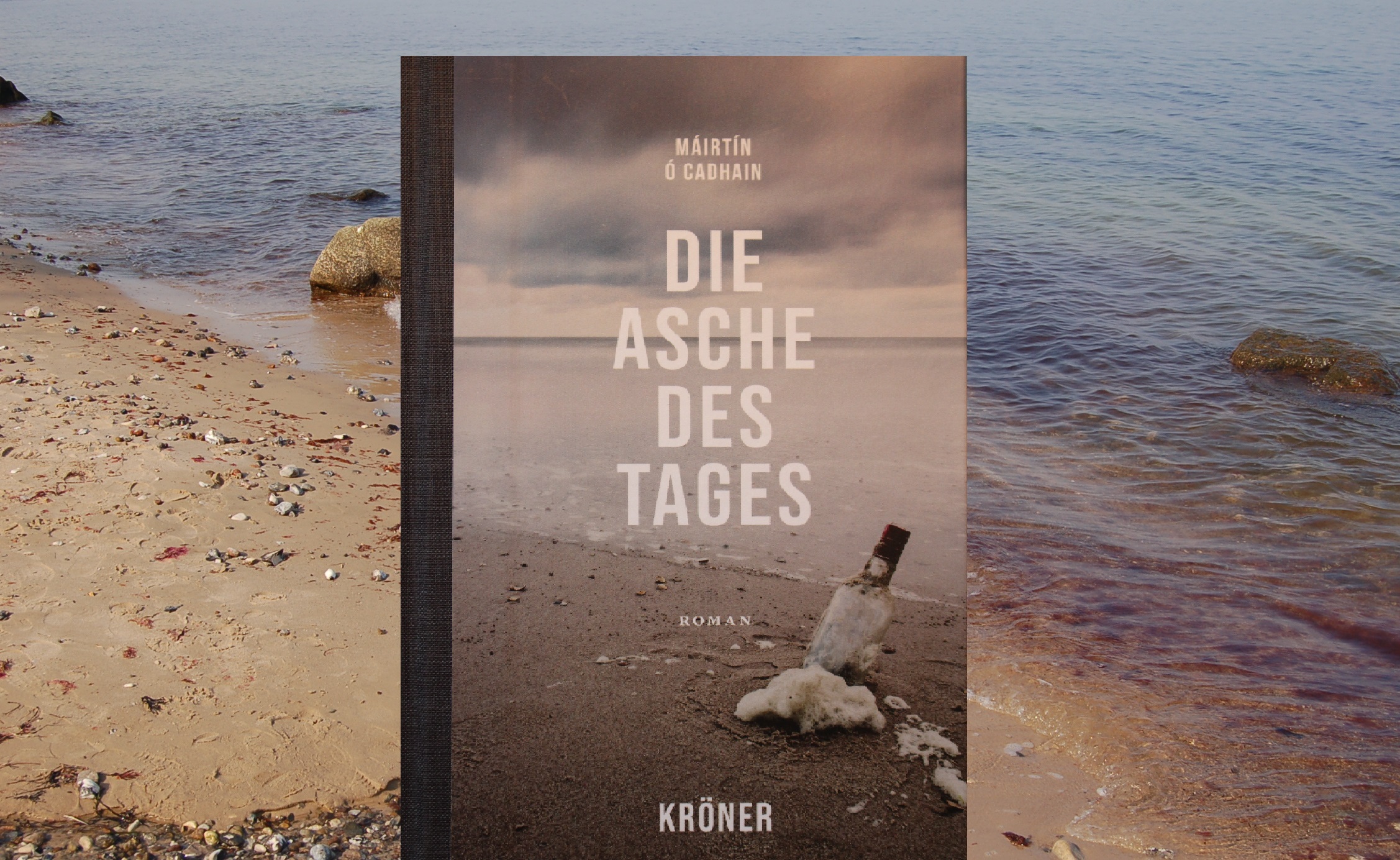 Máirtín Ó Cadhain Die Asche des Tages Kröner