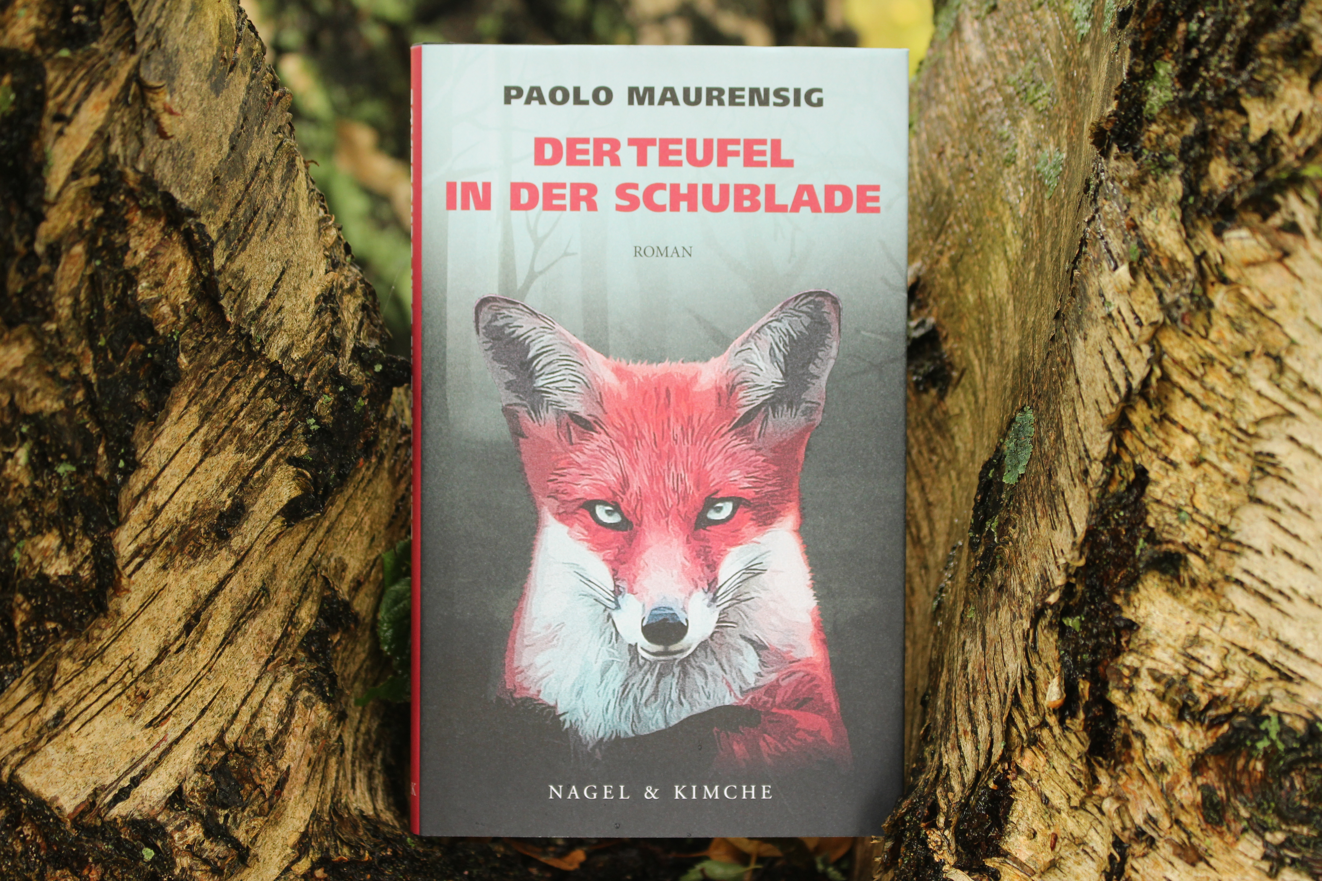 Paolo Maurensig Der Teufel in der Schublade Nagel &amp; Kimche