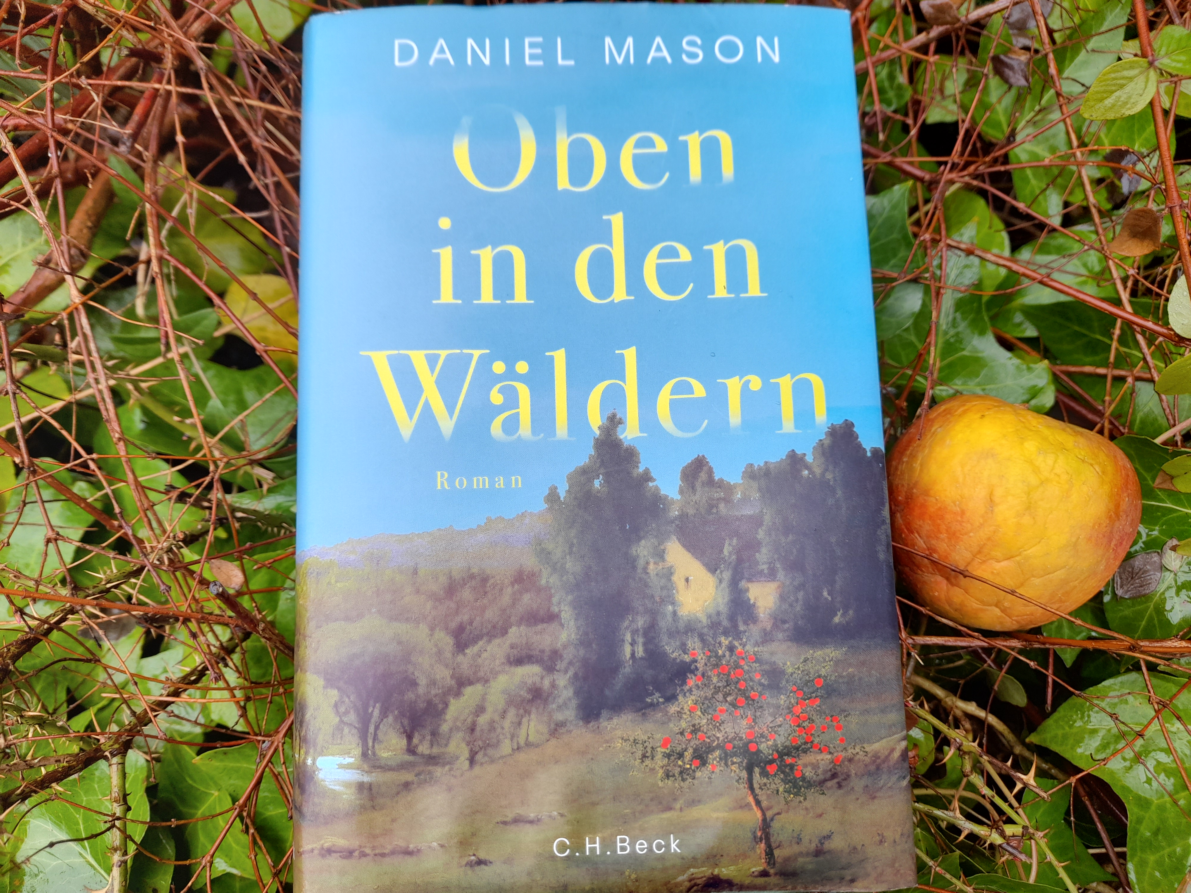 Watch Die Reise zum Mittelpunkt der Erde (1959) Full Movie Online - Plex, image size:4000x3000